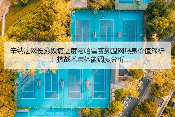 xin-na-fa-wang-shang-yu-hui-fu-jin-du-yu-ha-lei-sai-dao-wen-wang-re-shen-jia-zhi-shen-xi-ji-zhan-shu-yu-ti-neng-diao-du-2-367.jpg